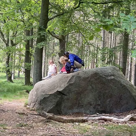 At Arsdale Solgaarden 6 아파트